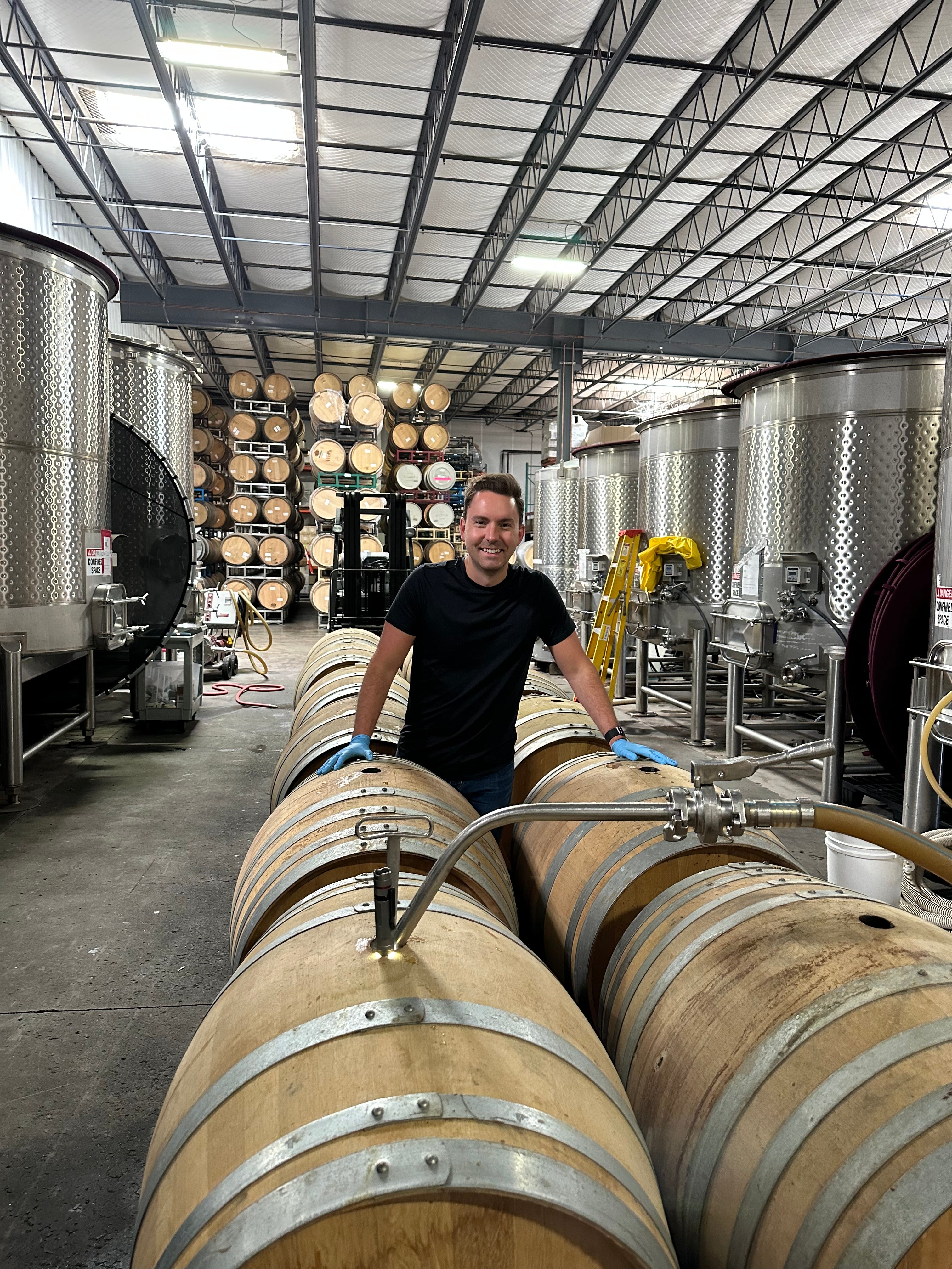 Winemaking among barrels in the cellar